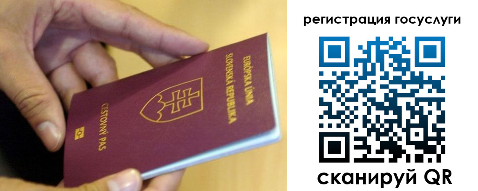 прописка в квартире в Волосово